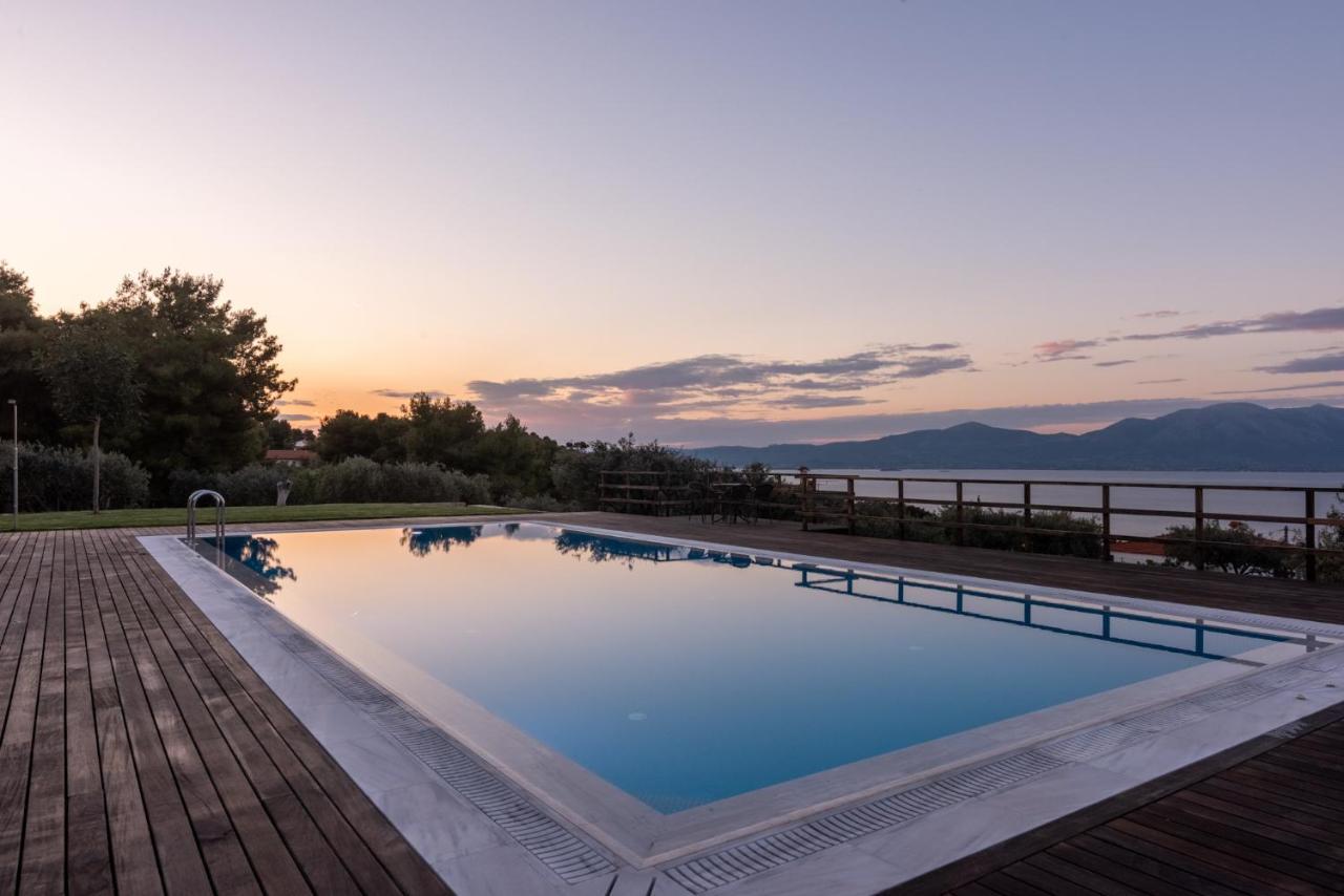 Villa Kalamos / Sea View And Pool Nearby Athens Bagian luar foto