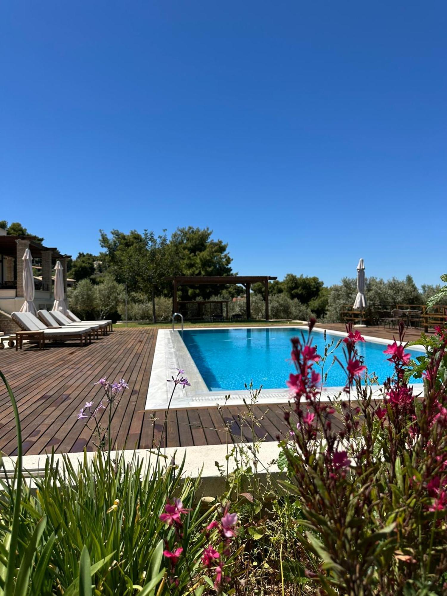 Villa Kalamos / Sea View And Pool Nearby Athens Bagian luar foto